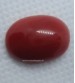 Red Coral Stone 7.25 Ratti Oval Shape @ Rs.1200 / Ratti (Italy + Original + Natural) Available in 5|6|7|8|9|10|11|12 Ratti