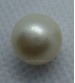 Pearl | Moti of 5.25Ct. @ Rs.250/Ct. (South Sea + Natural + Precious) Available in 5.25Ct. to 11.25Ct.